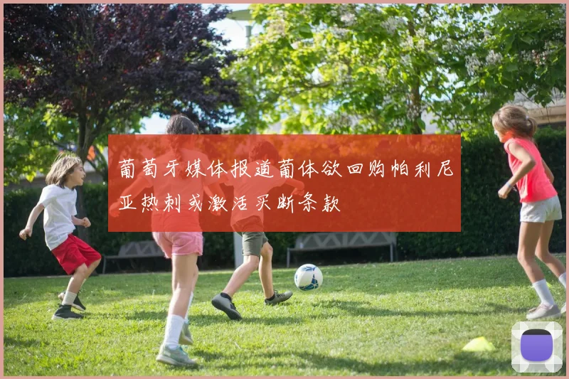 葡萄牙媒体报道葡体欲回购帕利尼亚热刺或激活买断条款